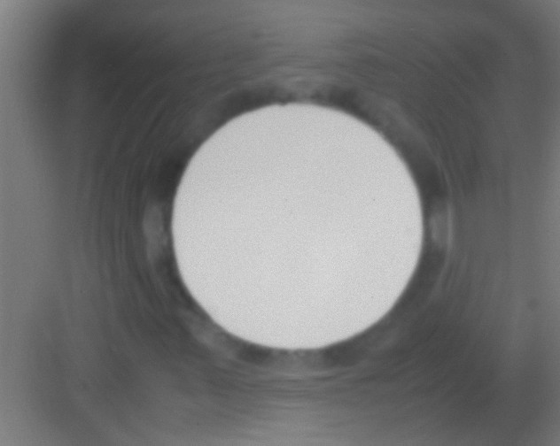X0000081271347200702081916