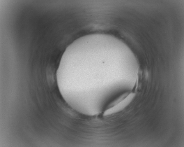X0000081271348200702081916