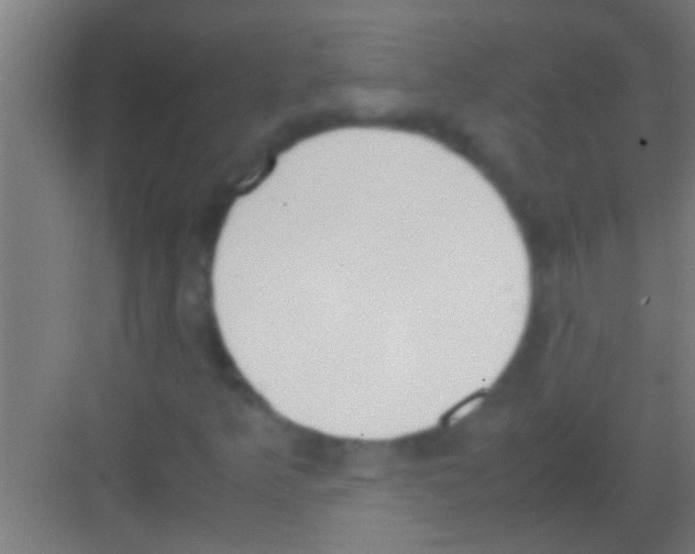 X0000081271349200702081916