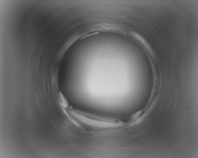 X0000081271385200702081916