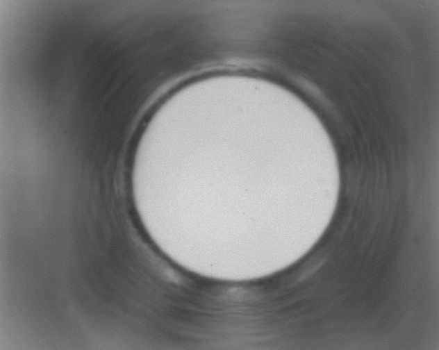 X0000081271412200702081915