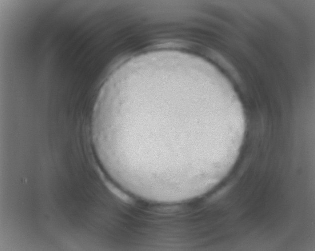 X0000081271425200702081915