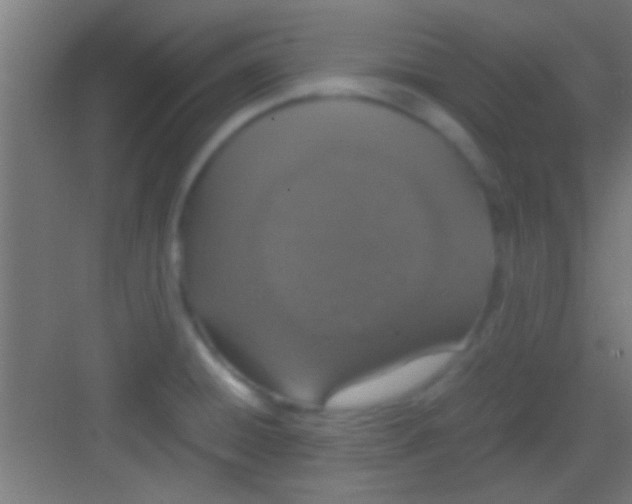 X0000081271428200702081915