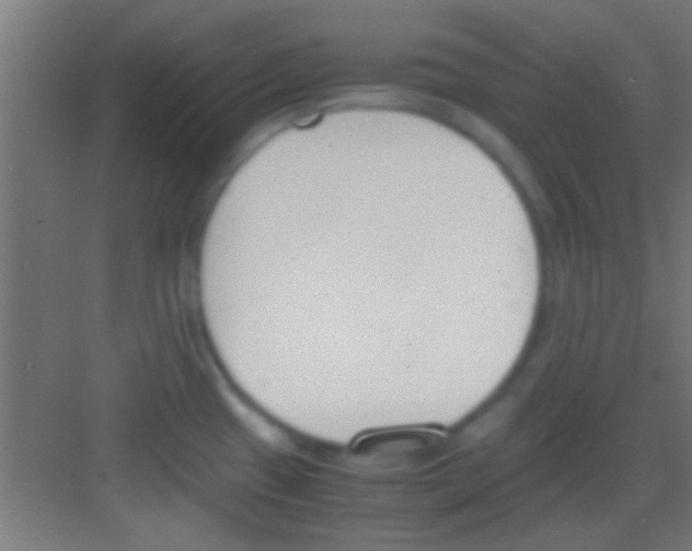 X0000081271433200702081915