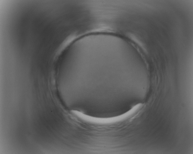 X0000081271455200702081914