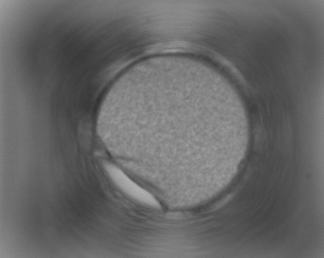 X0000081271457200702081914