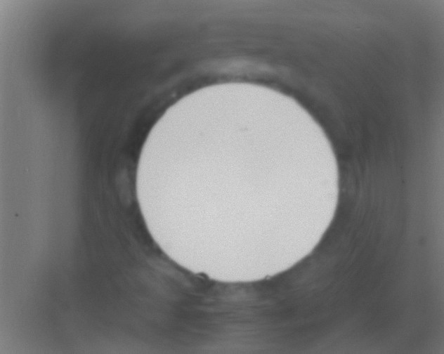 X0000081271493200702081913
