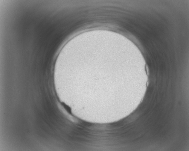 X0000081271532200702081914