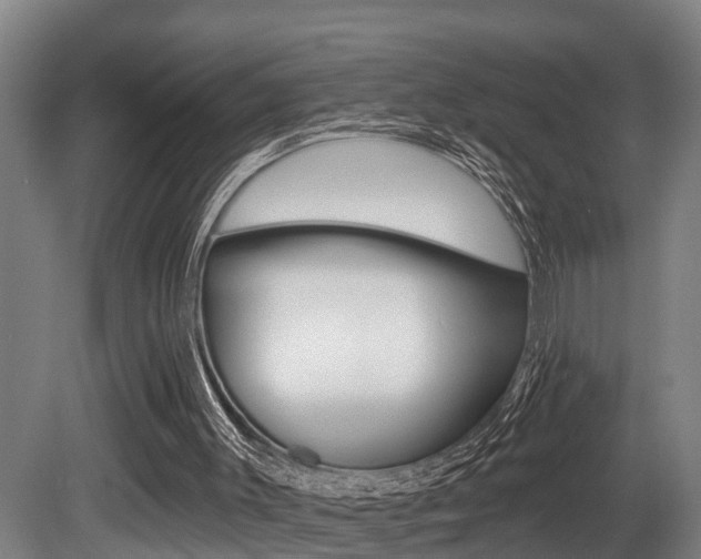 X0000081280003200701110946