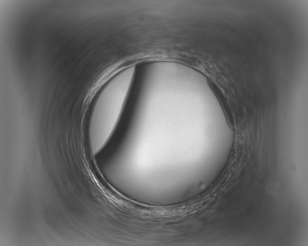 X0000081280005200701110946