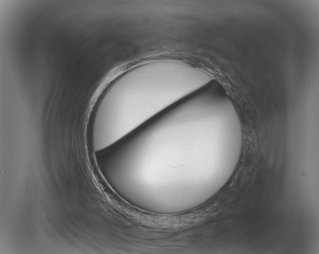 X0000081280006200701110946