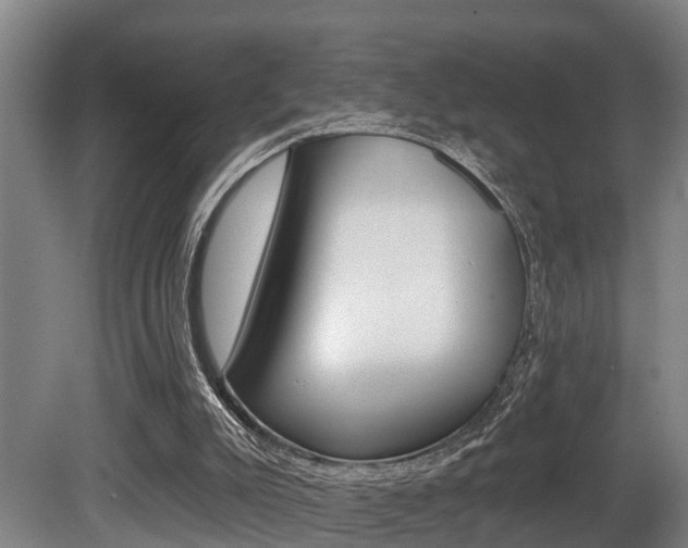 X0000081280007200701110946