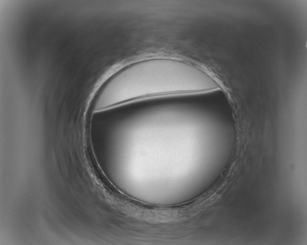 X0000081280008200701110946