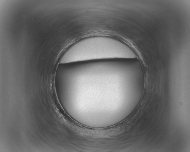 X0000081280010200701110946
