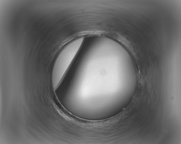 X0000081280013200701110946