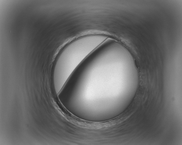 X0000081280015200701110946