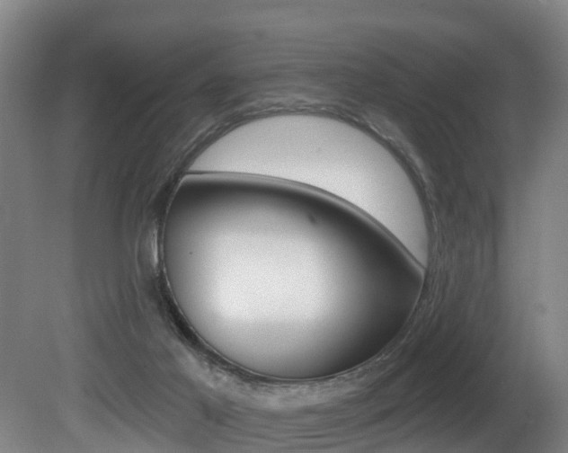 X0000081280021200701110946