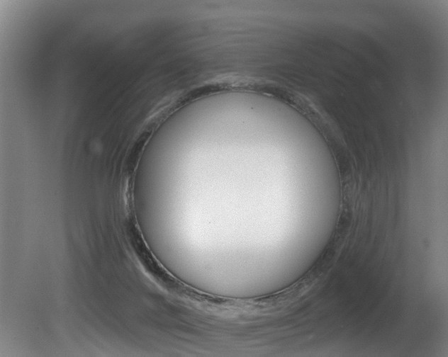 X0000081280024200701110946