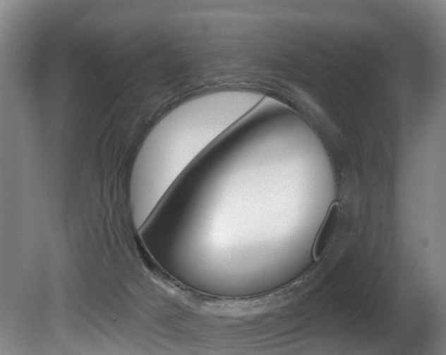 X0000081280025200701110946