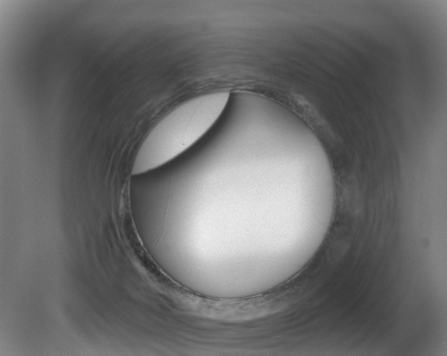 X0000081280026200701110946