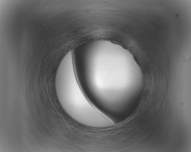 X0000081280029200701110946