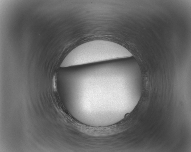 X0000081280042200701110945