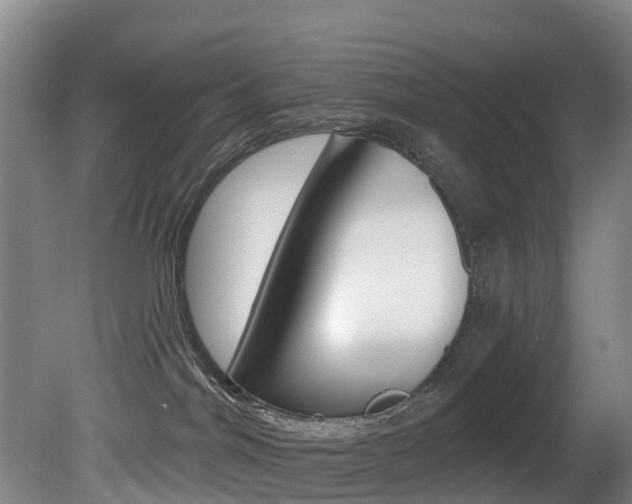 X0000081280044200701110945