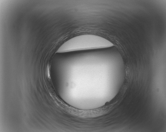 X0000081280046200701110945