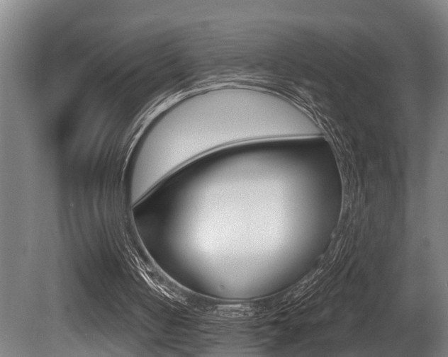 X0000081280050200701110944