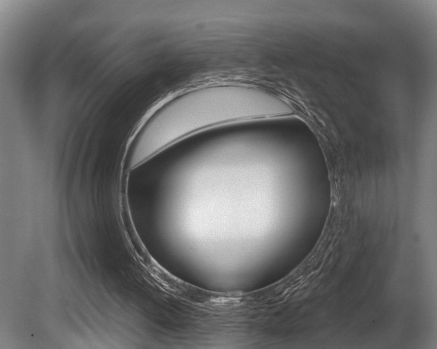 X0000081280052200701110944