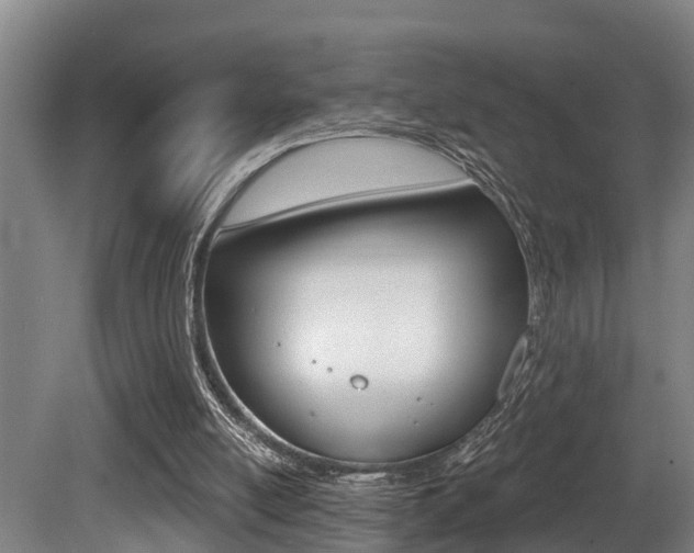 X0000081280054200701110945