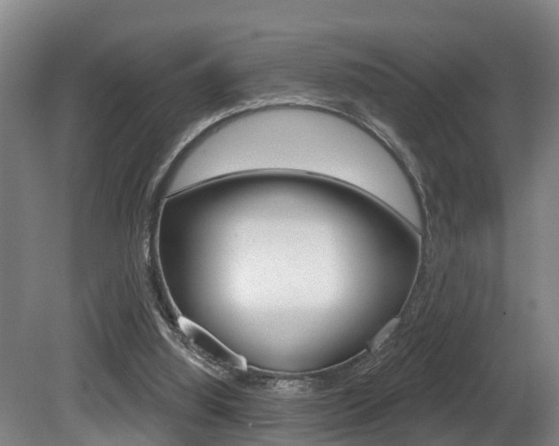 X0000081280060200701110945