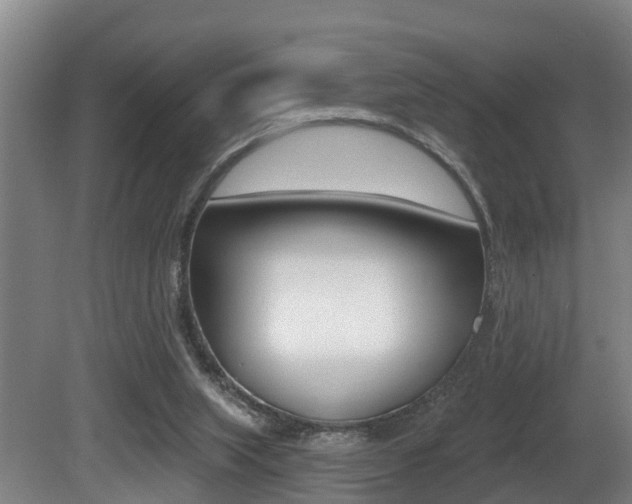 X0000081280063200701110945