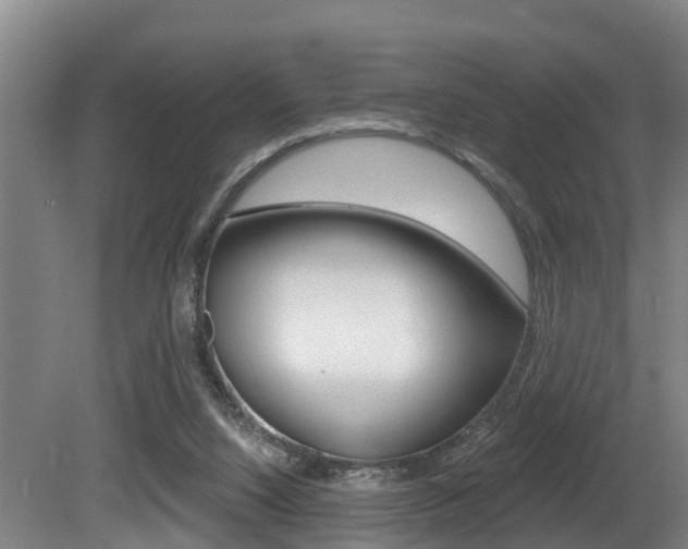 X0000081280064200701110945