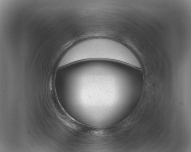 X0000081280068200701110945