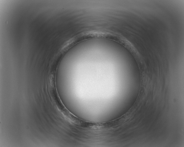 X0000081280071200701110945