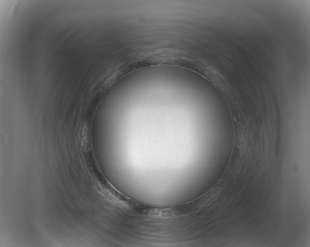 X0000081280077200701110945