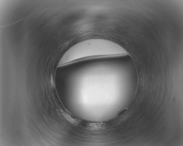 X0000081280089200701110945