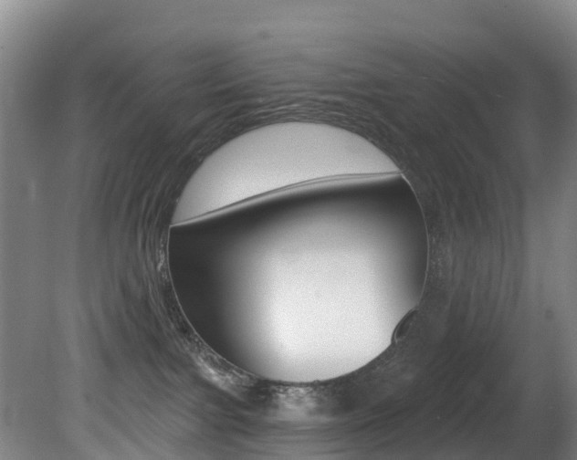 X0000081280091200701110945