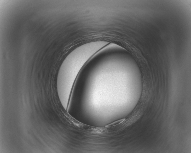 X0000081280096200701110945