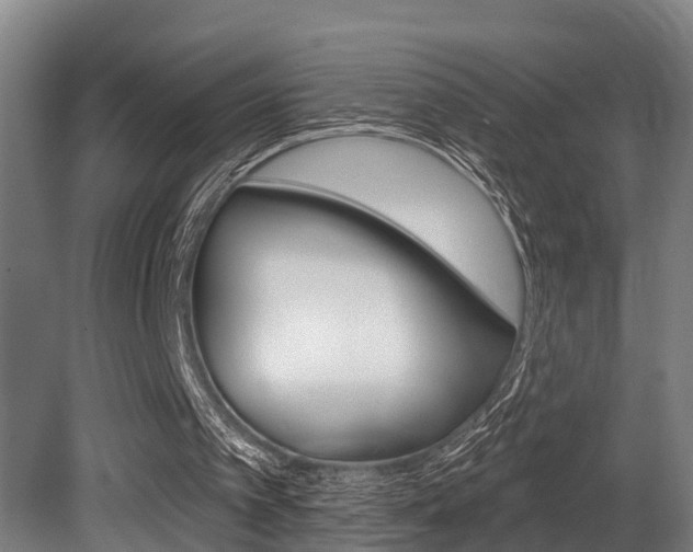 X0000081280097200701110944