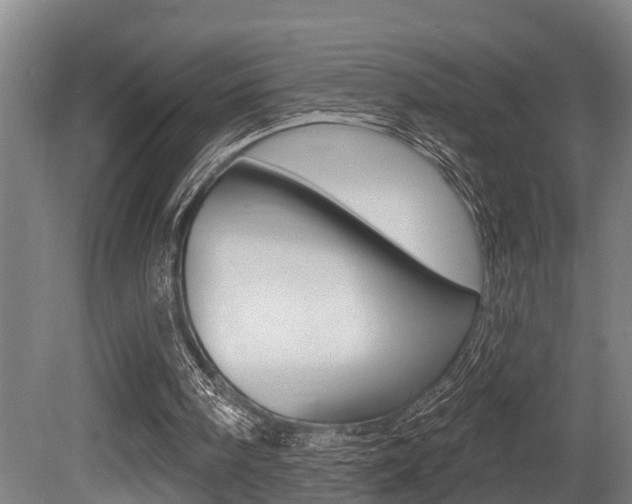 X0000081280098200701110944