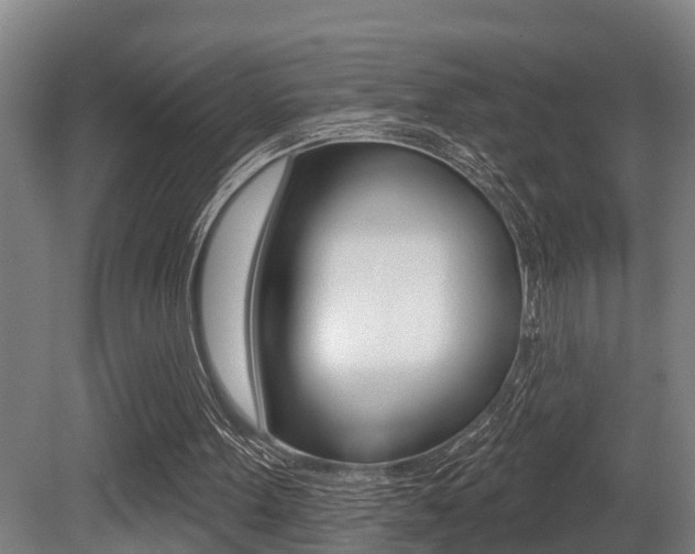 X0000081280099200701110944
