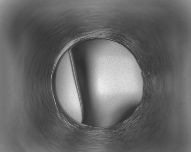 X0000081280100200701110944