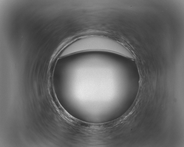 X0000081280101200701110944