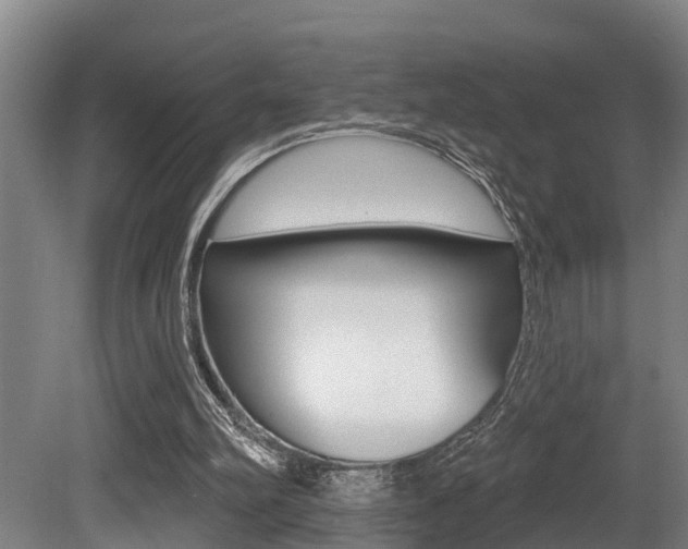 X0000081280102200701110944