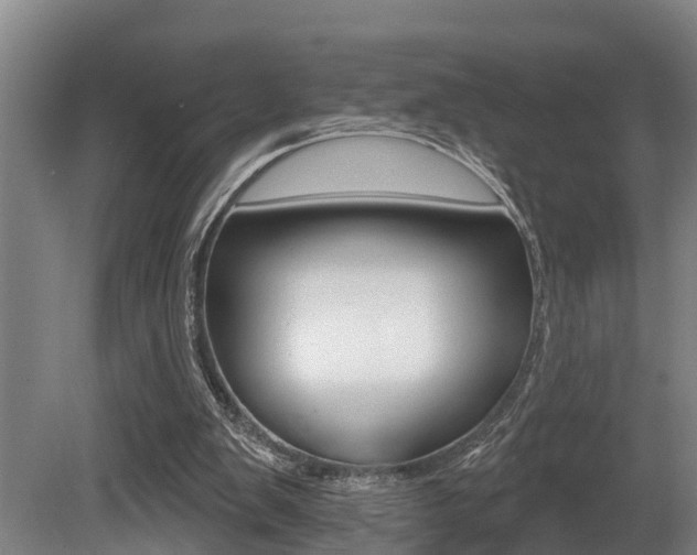 X0000081280103200701110944