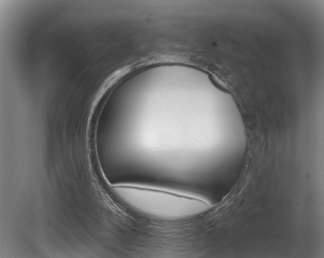 X0000081280104200701110944