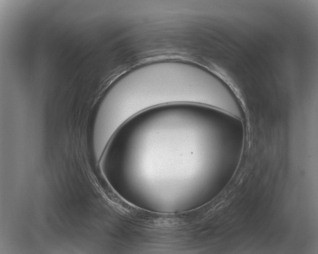 X0000081280105200701110944