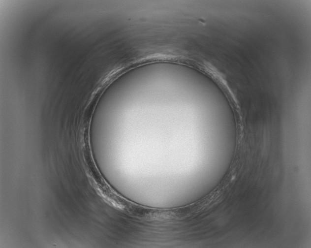 X0000081280106200701110944